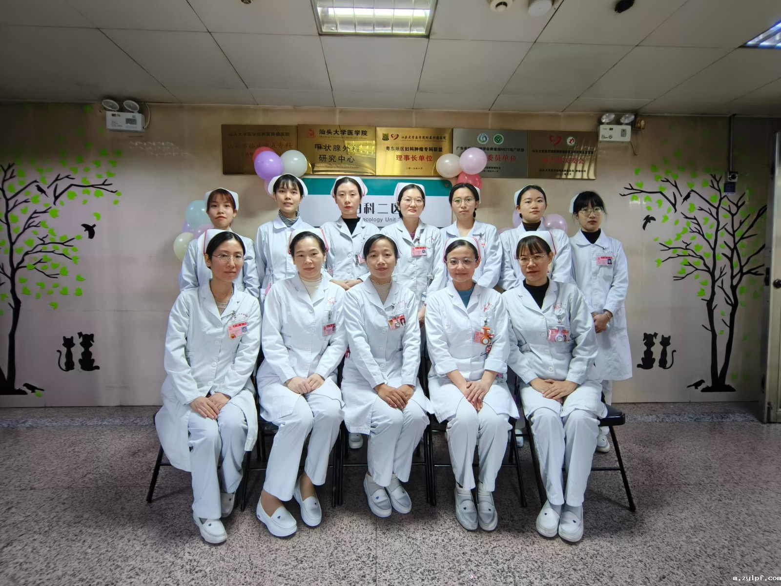科室护理团队照片.jpeg